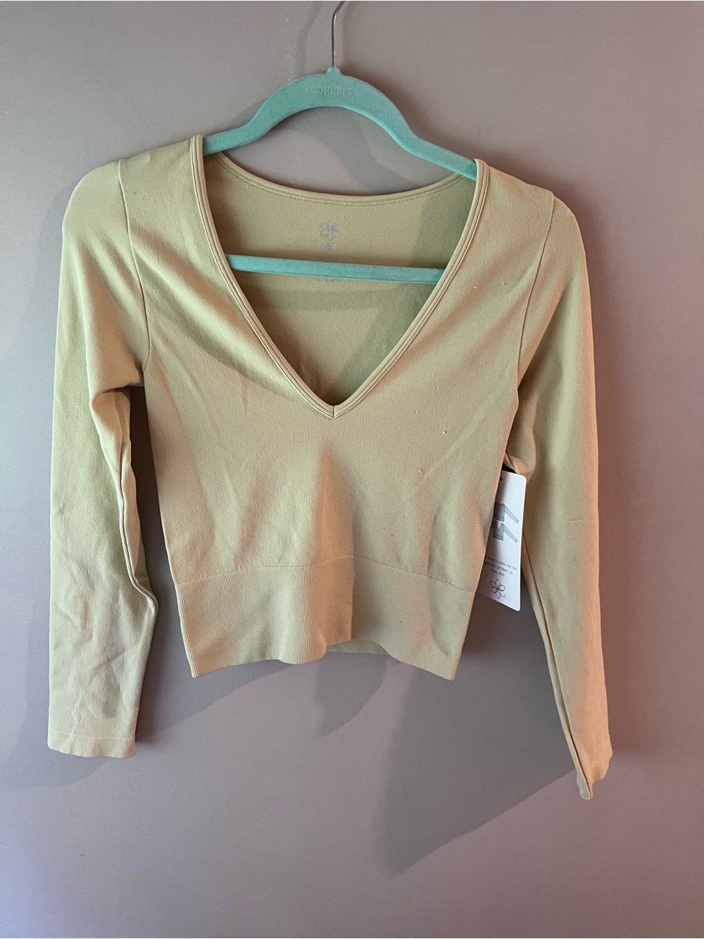 Aura Light Green V-Neck Long Sleeve Crop Top
